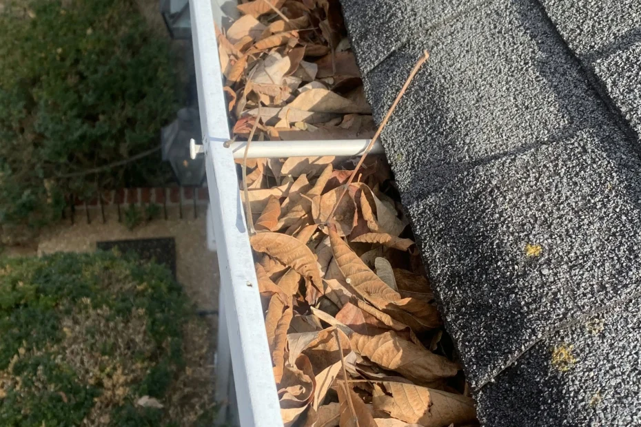 Gutter Cleaning Mount Lebanon