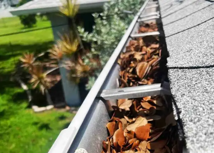 Gutter Cleaning Mount Lebanon home page